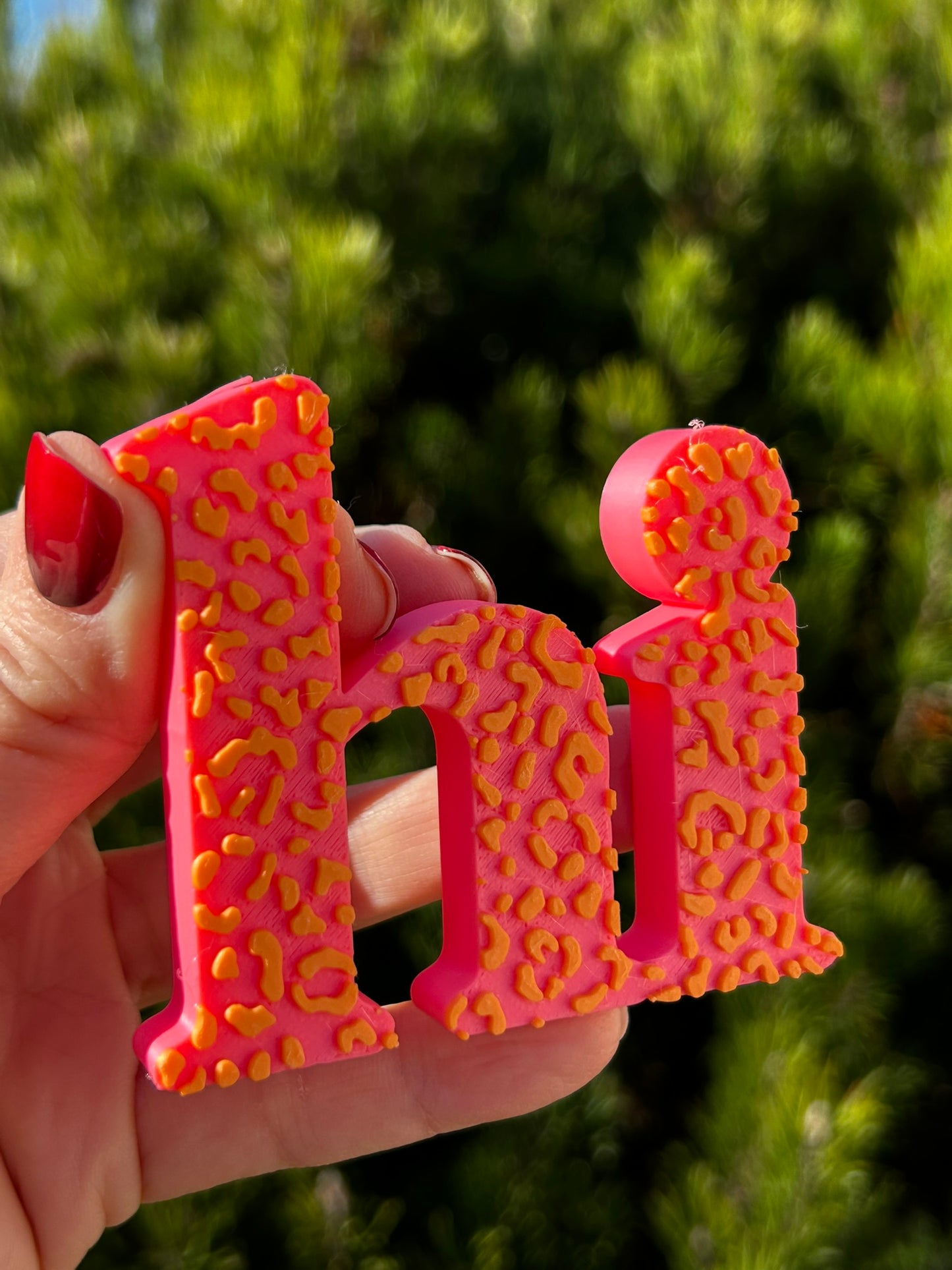 3D Schriftzug I Statement Spruch I Dekoration "Hi"