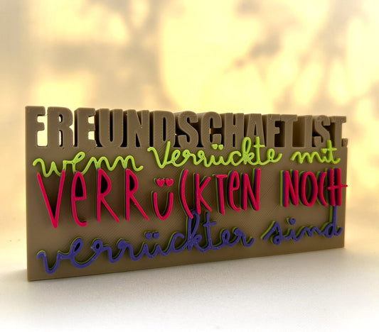 3D Schriftzug I Statement Spruch I Dekoration "Freundschaft ist.."