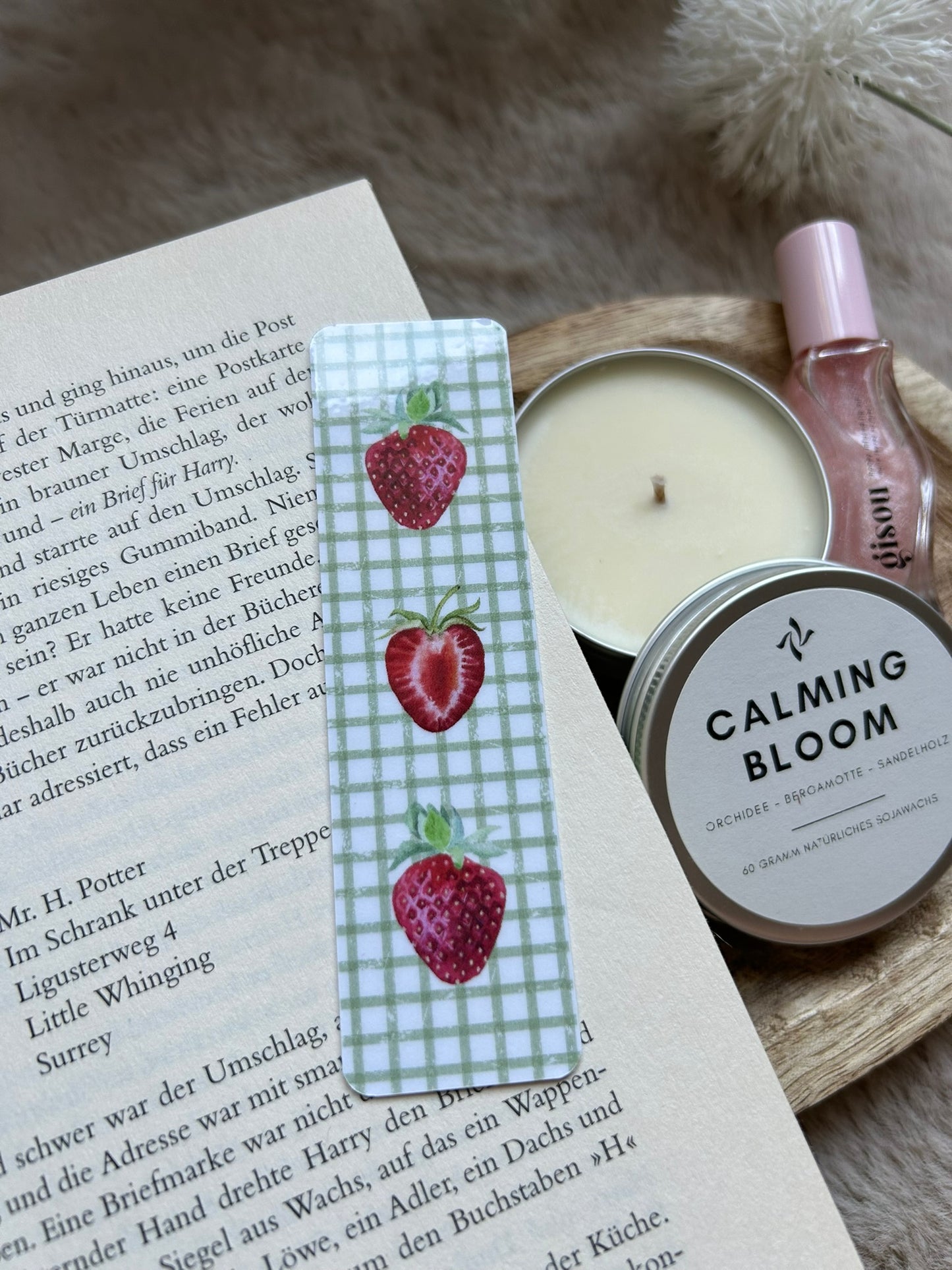 Lesezeichen Set 5 I Erdbeeren