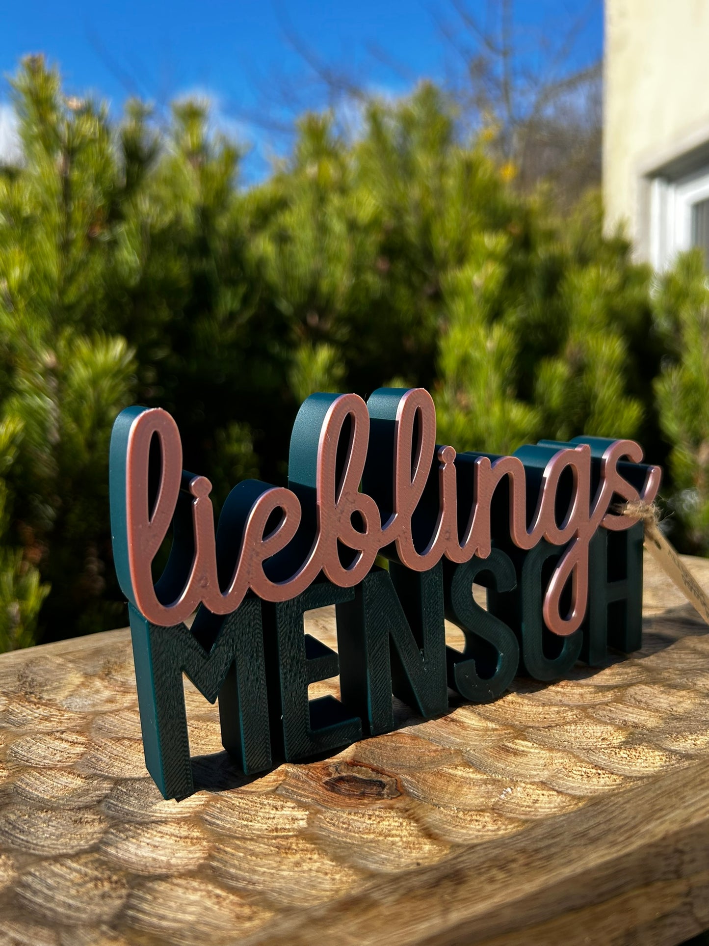 3D Schriftzug I Statement Spruch I Dekoration "Lieblingsmensch"