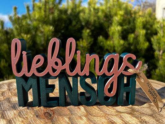 3D Schriftzug I Statement Spruch I Dekoration "Lieblingsmensch"