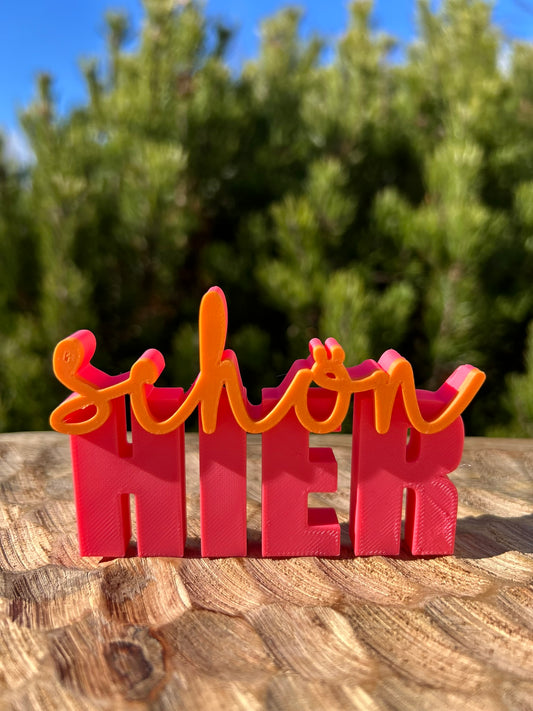 3D Schriftzug I Statement Spruch I Dekoration "Schön hier"