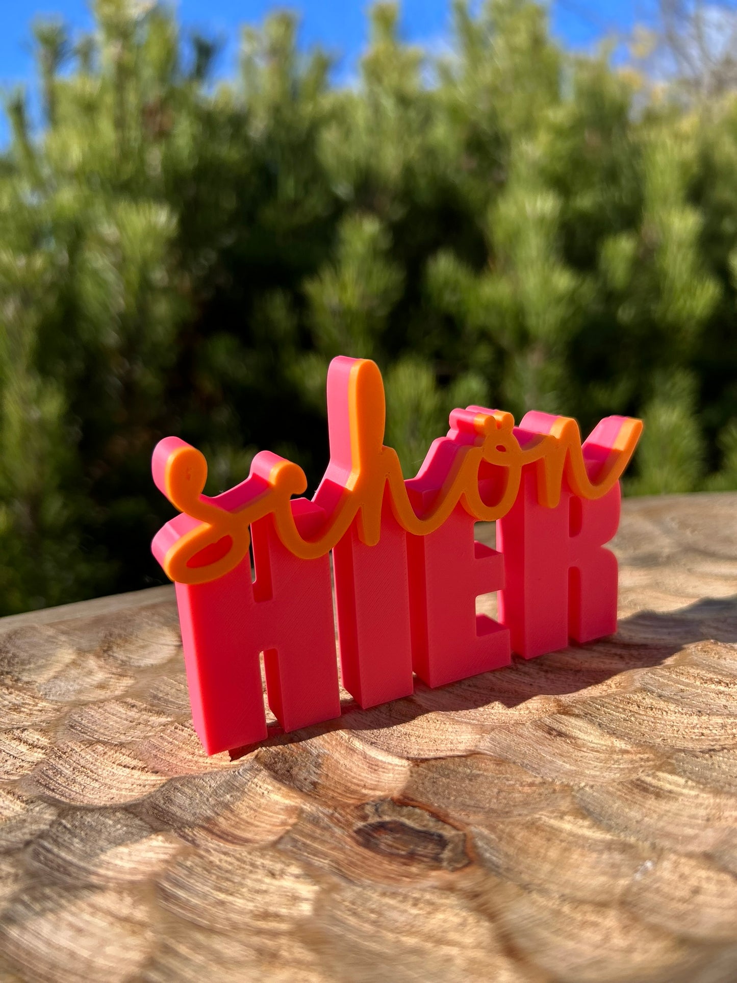 3D Schriftzug I Statement Spruch I Dekoration "Schön hier"