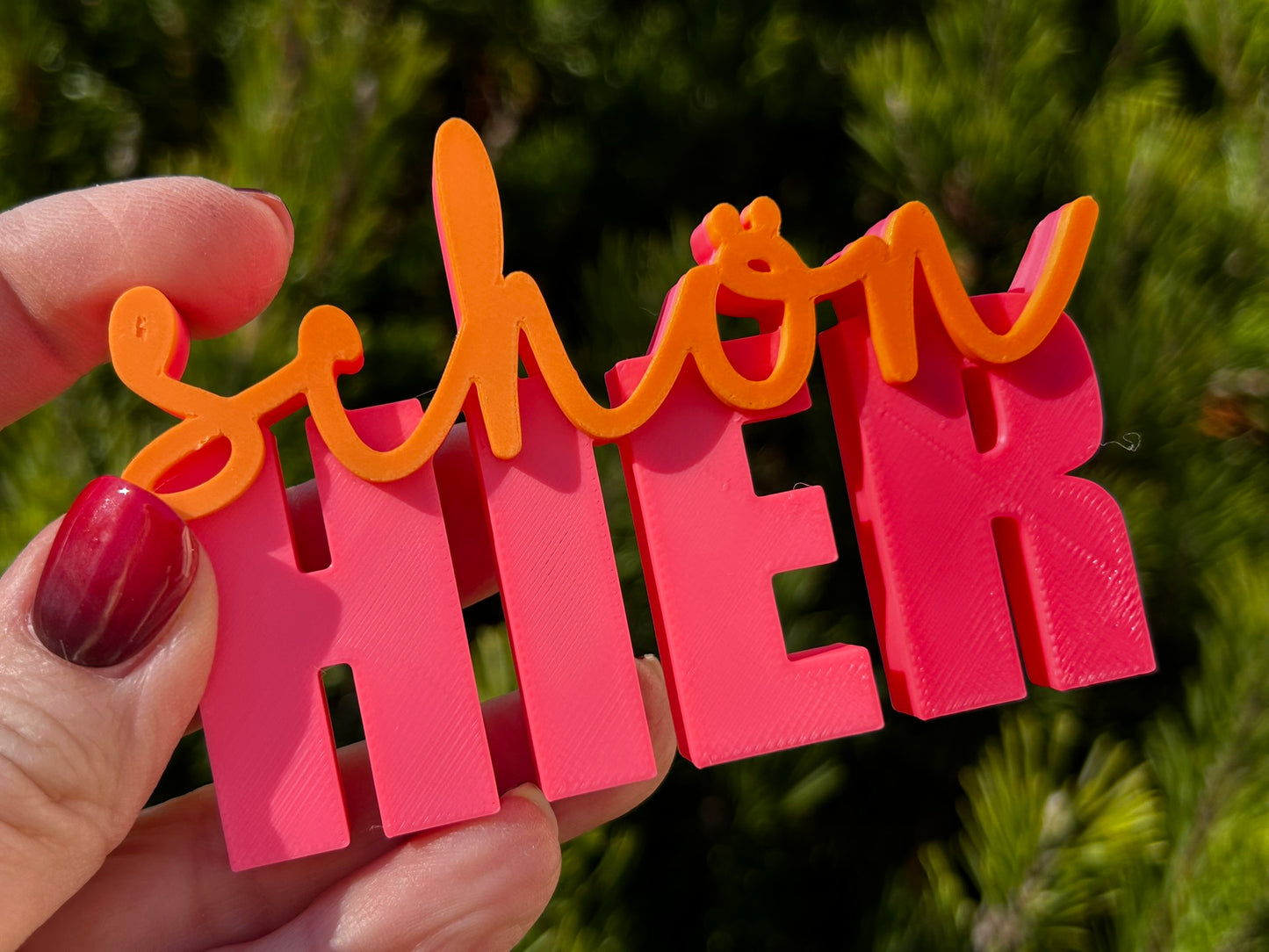 3D Schriftzug I Statement Spruch I Dekoration "Schön hier"
