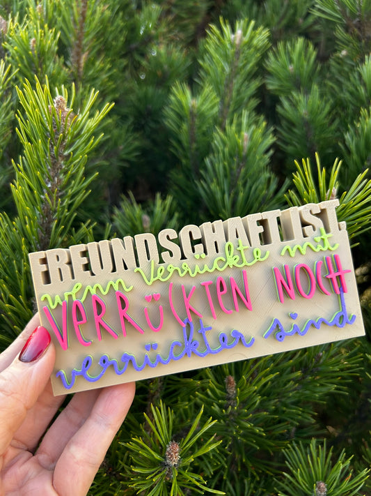 3D Schriftzug I Statement Spruch I Dekoration "Freundschaft ist.."