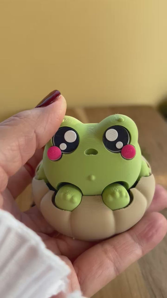 Klicker Fidget Toy - Frownies Frosch im Kissen