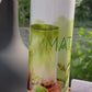 Edelstahl Thermobecher I Tumbler I Matcha 3